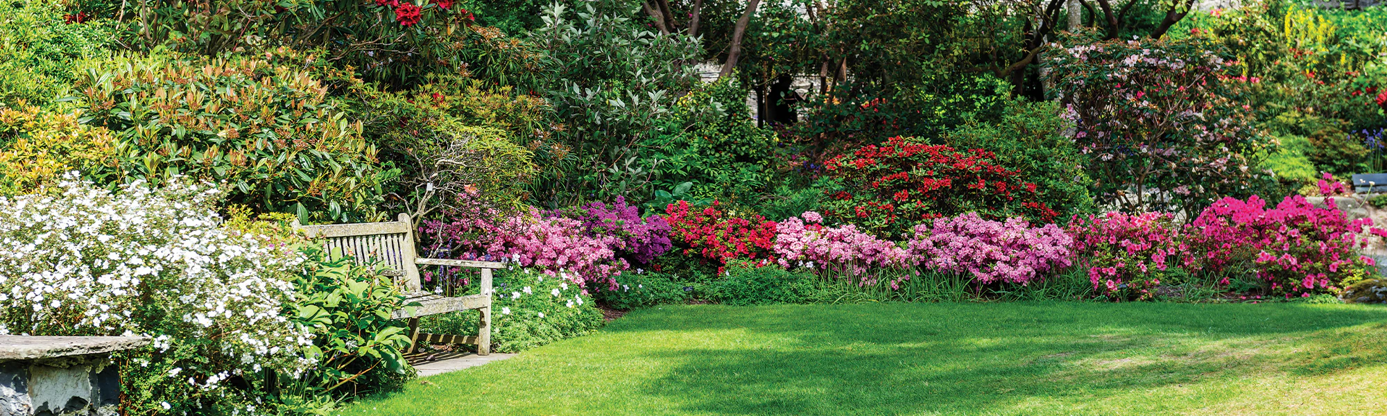 Plantes De Jardin -Plantes De Jardin 2